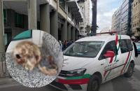 في وقت وجيز.. أمن طنجة يتمكن من حل لغز  "الجمجمة المجهولة"